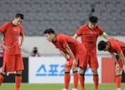 包含国足东亚杯夺冠，意义几何？世界杯垫底，球迷更激动的词条